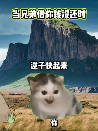 当兄弟借你钱没还时 #猫meme #二次元 #手办