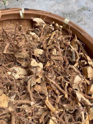 苗家铁线禾(田月有奇效