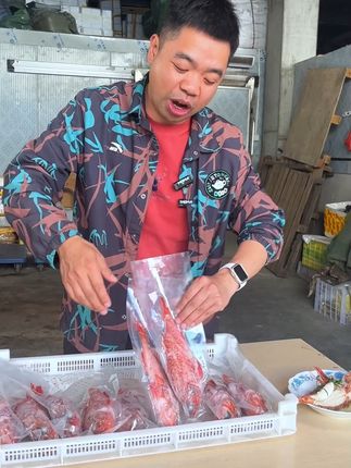 鲜美石斑鱼,顺丰速递锁住大海的味道! 今天又收了好多新鲜海味!有需要的朋友赶紧下单吧~