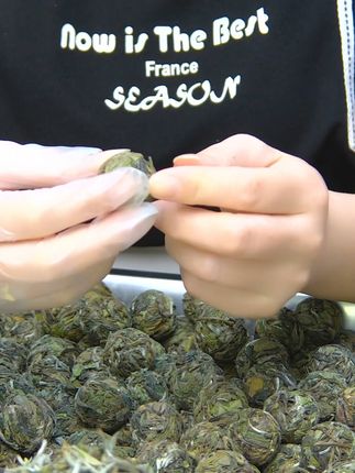 白茶控必看!陈香枣香扑鼻,茶农直销龙珠白茶来了! 茶叶品质好不好?关键看工艺!这款福鼎老白茶口感醇厚、香气足!#茶叶#茶#召唤茶友#白茶#你的中秋团圆搭子前来报到