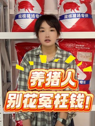养猪人别花冤枉钱! 七八十斤小猪喂多瑞多 S802,一袋拌 500 斤料还长壮。#猪饲料 #养猪 #猪价 #三农 #多瑞多预混料