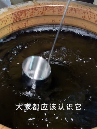 晕头转向口服液 #好喝不贵 #晕头转向口服液 #好物推荐🔥 #纯粮酿造好喝不上头 #酒知识
