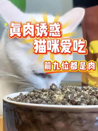 猫咪瘦弱愁坏铲屎官?高鲜肉猫粮让爱宠增肥发腮! 猫咪营养不良、毛色差?试试这款高鲜肉全价猫粮!#崽崽猫 #高鲜肉猫粮 #救生衣小狗前来报到 #当事猫婉拒了它的同款抱枕 #遇上真牛仔小猫了