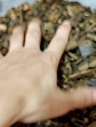 奇楠沉香,古法工艺,天然香气,净化心灵! 想了解奇楠沉香却不知咋入门?这款文创帮你搞定!#在景德镇1天能画多少瓷器#没有人能空手走出景德镇#我在景德镇玩泥巴#一部陶瓷史半部景德镇的含金量