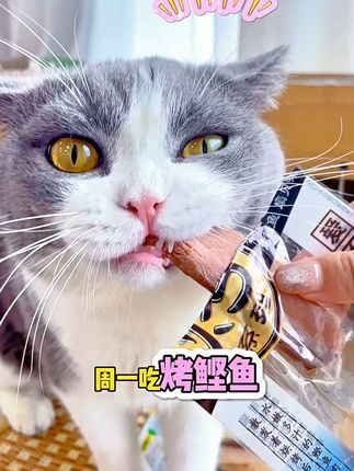 爱吃鱼肉是猫咪的天性, 每周2根伊纳宝家的烤鲣鱼,鲜嫩多汁,营养美味,哪只小猫咪能不爱哈!!趁现在有活动赶紧入手!!#萌宠好物 #猫零食 #伊纳宝 #养猫人