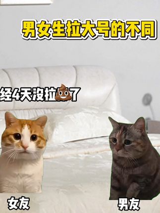 男女生上厕所的不同 #猫meme #抽象 #男生宿舍 #二次元 #手办