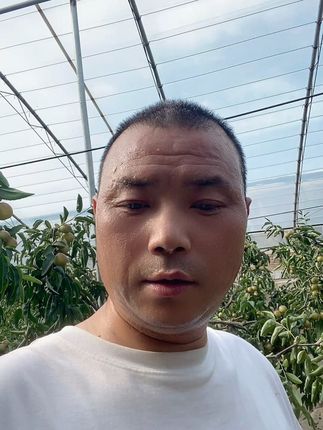 脆甜多汁大荔冬枣,一口爆汁太满足! 今天下午去果园里收果子了!现在正是吃鲜水果的时候啊!喜欢吃的快来看看吧!!#复刻蒋欣关晓彤同款彩椒碗#渍水果的清凉感真的封神了#被自制西瓜糖甜到冒泡#一个芒果炸出多少兴趣邪修#夏天限定西瓜战衣