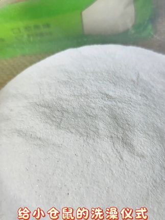 告别异味!金丝熊洗澡就用这浴沙 夏天了,毛孩子也要定期清理一下身上的灰尘啦!试试这款好物吧~#洗澡沙 #鼠鼠我呀 #好物推荐 #仓鼠