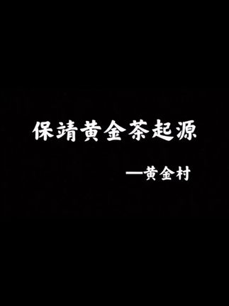 你知道黄金茶的起源嘛 #保靖黄金茶