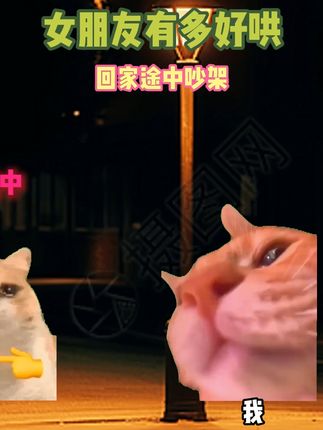 女朋友有多好哄 #猫meme #无畏契约 #猎奇 #抽象 #搞笑