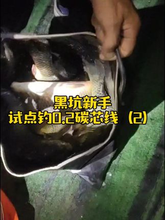 黑坑钓鱼再也不怕断子线!杆子再硬点我就直接飞 #黑坑不断的子线 #碳芯大力马子线双钩成品 