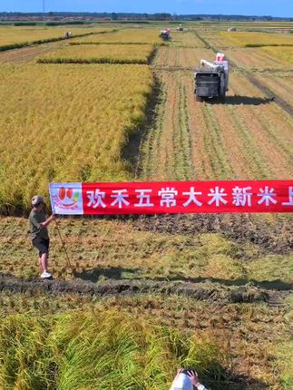 五常大米稻花香2号2025年新米上市厂家原产地直发品质保证 #2025年新米