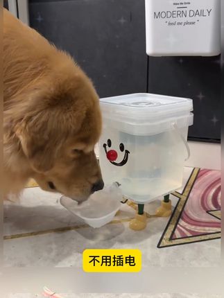 一桶能装5升水,既方便又好清洗,养宠家庭必备 #养宠好物 #新手养狗 #萌宠出道计划 #新手养宠