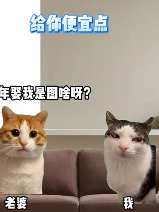 便宜一点 #猫meme #抽象 #二次元 #搞笑
