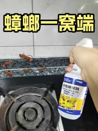 家里蟑螂泛滥?这款神器一喷就干净! 家里有小黑蛛、大黑蛛、壁虎、蟑螂?试试这款喷雾!#强烈推荐#居家好物#洗护好物#杀虫剂#蜘蛛