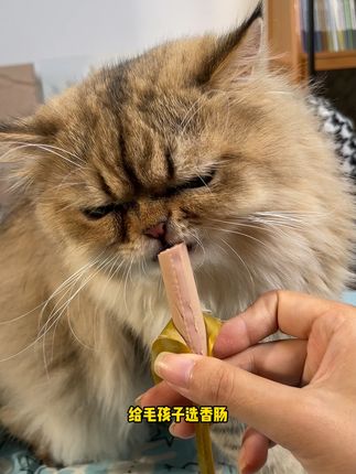 狗狗猫咪宠物香肠#萌宠好物 #萌宠 #狗狗 #宠物食品