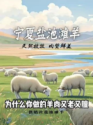 不吃亏!正宗盐池滩羊,不膻不腻,鲜嫩多汁等你尝鲜 今天又做了很多美食给大家分享了!有喜欢吃的吗?评论区留言哦~#我的立秋仪式感#李连杰:我已经是腊肠了#晴天请粉丝搂东北大席#一口入魂的夏日夜宵#电饭煲版红烧肉