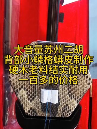 学会这把二胡,轻松过考级! 想学好民族音乐却没合适工具?这款乐器帮你解决难题!#最超前的入秋搭子出现了#各地cos玩家已解锁新装备