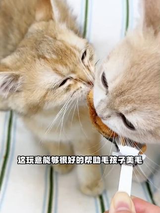 #猫咪 #宠物零食 #猫冻干 #宠物冻干 #萌宠有自己的阿贝贝