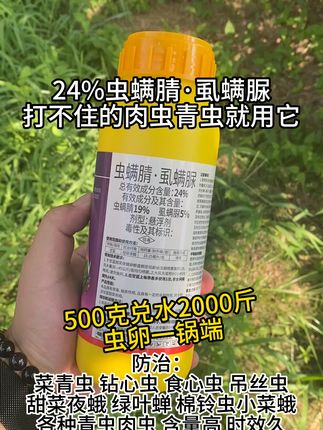 抗性青虫肉虫克星虫卵一锅端 玉米螟虫、棉花棉铃虫、果园钻心虫、菜园菜青虫都能打#三农 #农业种植 #杀虫剂 #病虫害防治 #虫螨腈虱螨脲