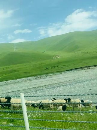 早餐新选择!天然有机牛奶,营养满满开启活力一天 孩子总担心喝不到好牛奶?这款高品质牛奶给孩子放心!#强烈推荐#牛奶#健康#营养早餐#纯牛奶