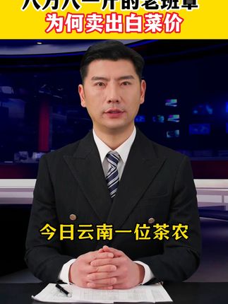 二十年老班章,一口唤醒你的味蕾! 云南普洱茶界扛把子!这款高端茶叶品质好、口感佳,值得入手!#班章古树茶#普洱生茶 #云南普洱茶