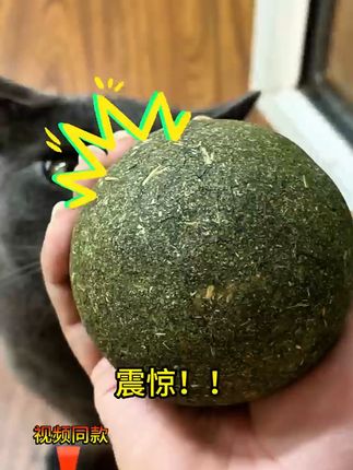 猫咪自嗨神器!超大号猫薄荷球解闷又磨牙 家里养了只小猫咪总无聊?试试这款能自己玩的小玩意!#萌宠好物#养猫新手#猫咪日常#猫玩具#萌宠有自己的阿贝贝