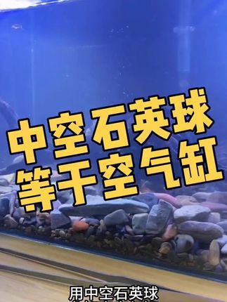 清澈水质,养鱼无忧!纳米细菌球净化神器 养鱼必备!这款滤材能有效改善水质、吸附有害物质,让爱宠更健康!#观赏鱼#源头实力厂家#实拍原视频#鱼缸过滤#水族