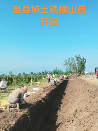 没有买不起的山药,只有吃不到的健康