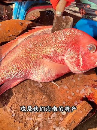 海边的味道,一口鲜美红鱼干解馋! #红鱼干 