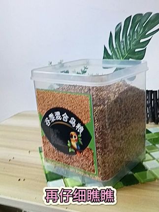 鹦鹉爱吃的五色黍子! #鹦鹉 #爱鸟护鸟 #谷黍 #鸟零食