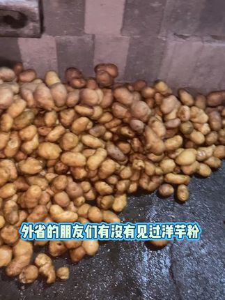 吃货福音!恩施高山土豆粉包邮到家太香了 湖北特色土豆粉!采用高山马尔科洋芋打粉,天然日晒,无添加#一口掉进水果味的夏天 #把夏天的甜蜜一筐筐装满 #这一届安全吃菌指南太抽象了 #邪修做饭有多简单 #跟着董宇辉弹西瓜