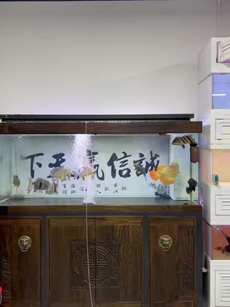 养鱼必备!氧气泵免费退,安心购! 今天下午两点开始有活动了!下单就送运费险,不拍也行,但是别错过哦~#猫猫算是把日子过明白了#当你有一个小狗背包#当我给小猫买了个反重力饮水机#戴上肌肉臂秒变“哈肌咪”