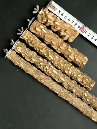 再也不怕鸟儿乱飞,稳稳站立的花椒木站棍来啦! #鹦鹉 #鹦鹉鹦鹉萌萌哒逗鹦鹉 #大鸟笼子来咯!这下再也不怕小鸟飞走了啦~快来看看吧~#救生衣小狗前来报到 #遇上真牛仔小猫了 #当事猫婉拒了它的同款抱枕