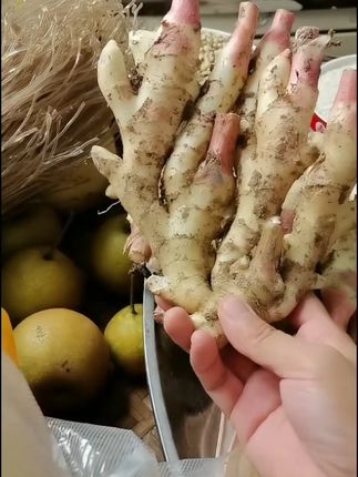 新鲜嫩姜到家 自制糖醋泡姜超下饭! 今天又是一个忙碌的一天!早上六点多就起床了,一直忙到晚上才收工回家。现在正是吃这种小姜的时候啊!喜欢吃的家人们赶紧下单吧!!#把夏天的甜蜜一筐筐装满#邪修做饭有多简单#贵州究竟有多少好吃的城市#三伏天总要吃碗老苏州风扇凉面吧#北方人真没吃过透明荔枝吗