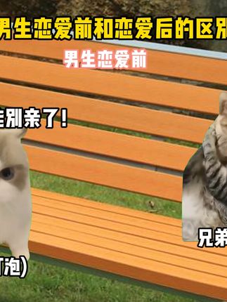 男生恋爱前后的区别 #猫meme #抽象 #二次元 #猎奇 #搞笑视频