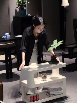 选择这款灵活多变的客厅移动小推车,让您的客厅空间告别束缚,焕发新生!点击购买,开启整洁有序、便捷舒适的家居生活新篇章!