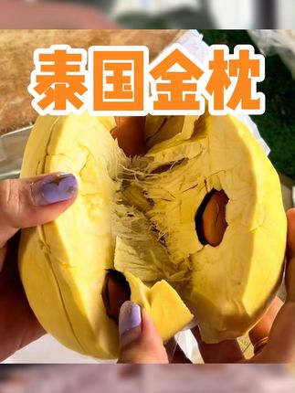 泰国金枕榴莲真的太好吃了哥哥姐姐们~ #香果坊 #榴莲 #榴莲控  #榴莲肉 #泰国金枕榴莲
