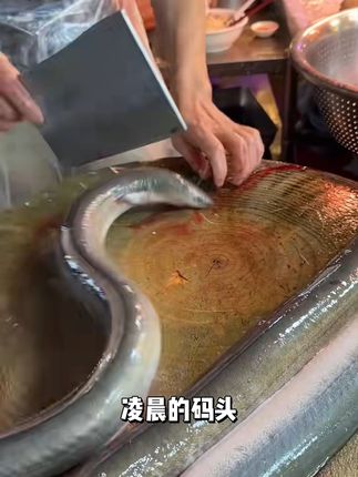 吃火锅必備!鮮美彈牙的潮汕魚丸,不好吃免費退! 今天下午五点半开始发货了!有运费险哦~收到货不喜欢也可以退回去哈~#妈呀太香了#真材实料才能做出好味道#早餐吃什么#鳗鱼丸#需要大声安利的烟火气美食