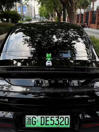 没图别跟,让我们一起摇摆!!!! #车载摆件  #摇摆青蛙 #摇摆青蛙