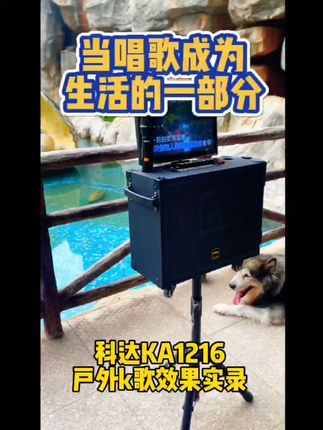 户外聚会唱歌神器!免费退货无压力