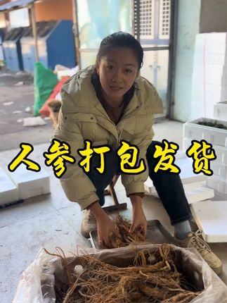 新鲜人参空运到家,泡酒炖鸡滋补佳品!