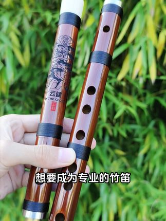 吹出悠扬旋律,初学者也能轻松上手的竹笛! 想学习民族吹奏乐器却不知咋入门?这款神器帮你搞定!#民族乐器#竹笛入门#竹笛#初学笛子#弘扬国乐