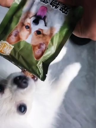 狗爱吃的补水狗饭,不喜欢包退哦! 今天下午两点开始有活动了!拍一单送两斤!还有运费险!可以放心试吃啦~#狗狗#狗粮推荐#狗粮#狗饭#狗餐包