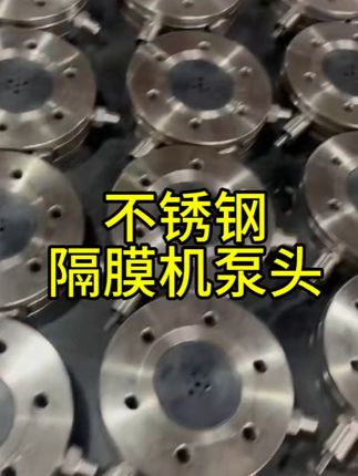 990隔膜机通用不锈钢泵头总成#喷涂机 #维修保养 #隔膜泵 #配件 #油漆工#五金工具 #高性能实用工具