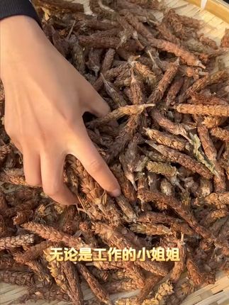 快来看看这夏枯草吧 #夏枯草 #夏枯草凉茶 #夏枯草泡水喝 #源头实力厂家 #即梦ai
