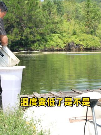 低温肥水就用菌藻动力,营养丰富,肥水肥鱼#威立妙 #水产养殖 #鱼塘