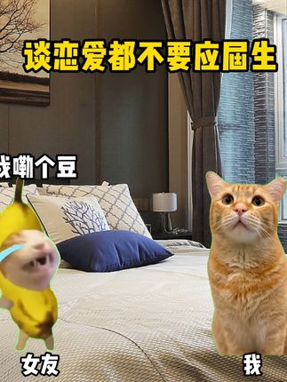 谈恋爱都不找应届生 #猫meme #二次元 #抽象 #猎奇 #手办