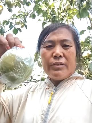脆甜多汁的隰县香梨,一口咬下全是满足! 正宗山西隰县玉露香梨开始采摘了,想吃的家人们可以下单了#玉露香梨 #隰县玉露香梨 #自家果园新鲜水果 