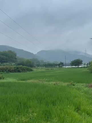 农村散养土鸡蛋,鲜嫩营养全家人都爱! #总有一种味道能让你想起故乡 农村土鸡蛋
